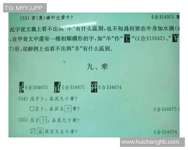 姚明如何通过拆字揭示汉字的魅力与文化内涵探索汉字的深层意义与表达方式 姚明如何通过拆字揭示汉字的魅力与文化内涵探索汉字的深层意义与表达方式
