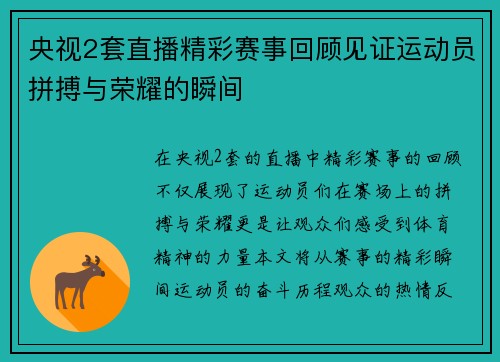 央视2套直播精彩赛事回顾见证运动员拼搏与荣耀的瞬间